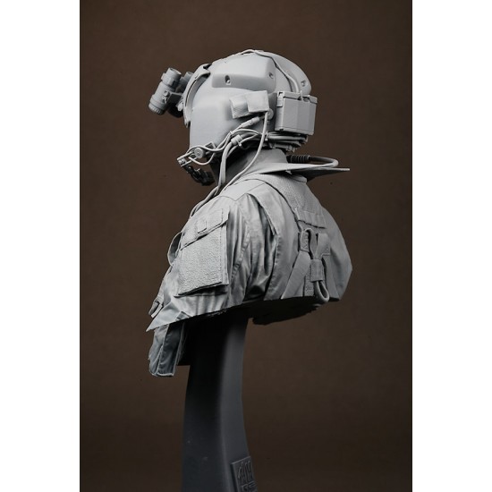 1/9 US Army Apache Pilot Bust 1/9 US Army Apache Pilot Bust