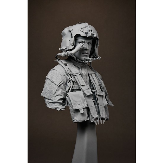 1/9 US Army Apache Pilot Bust 1/9 US Army Apache Pilot Bust