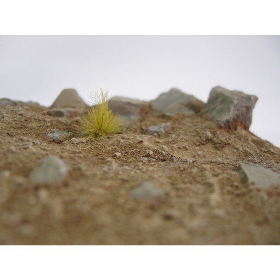 1/35 The Desert