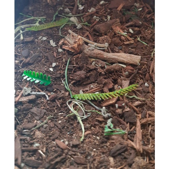Forest Floor - 125ml Super Detailed Scenic Scatter Forest Floor - 125ml Super Detailed Scenic Scatter