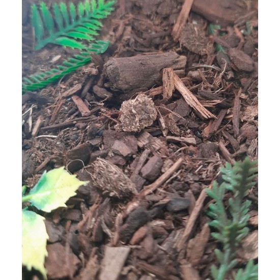 Jungle Forest Floor - 125ml Super Detailed Scenic Scatter Jungle Forest Floor - 125ml Super Detailed Scenic Scatter