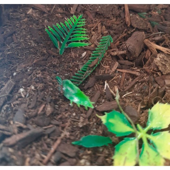 Jungle Forest Floor - 125ml Super Detailed Scenic Scatter Jungle Forest Floor - 125ml Super Detailed Scenic Scatter