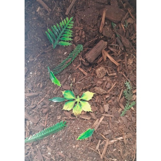 Jungle Forest Floor - 125ml Super Detailed Scenic Scatter Jungle Forest Floor - 125ml Super Detailed Scenic Scatter
