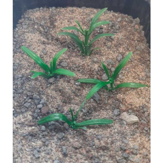 Plastic Plants - Small Weeds Dark Green Plastic Plants - Small Weeds Dark Green