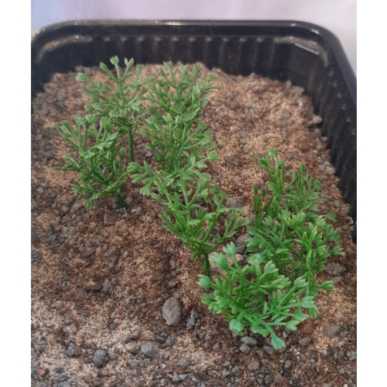 Plastic Plants - High Bushes Dark Green Plastic Plants - High Bushes Dark Green