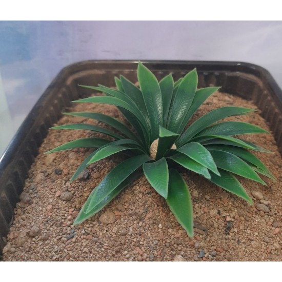 Plastic Plants - Large Desert Plant Plastic Plants - Large Desert Plant