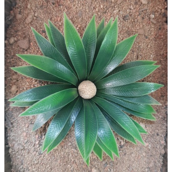 Plastic Plants - Large Desert Plant Plastic Plants - Large Desert Plant