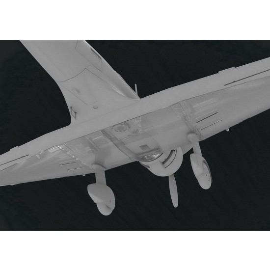 1/144 Mitsubishi Ki-51 Sonia in Foreign service (2pcs) 1/144 Mitsubishi Ki-51 Sonia in Foreign service (2pcs)