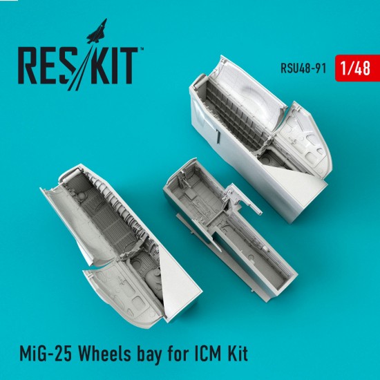 1/48 Mikoyan-Gurevich MiG-25 Wheels Bay for AMK Kit 1/48 Mikoyan-Gurevich MiG-25 Wheels Bay for AMK Kit