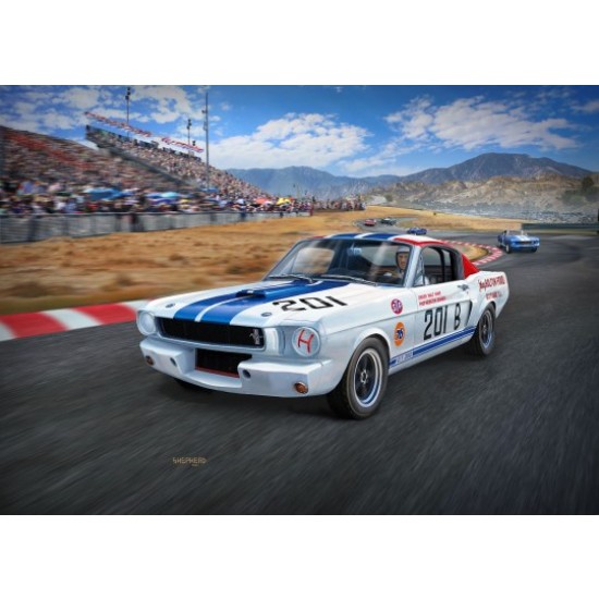 1/24 1966 Shelby GT350R 1/24 1966 Shelby GT350R