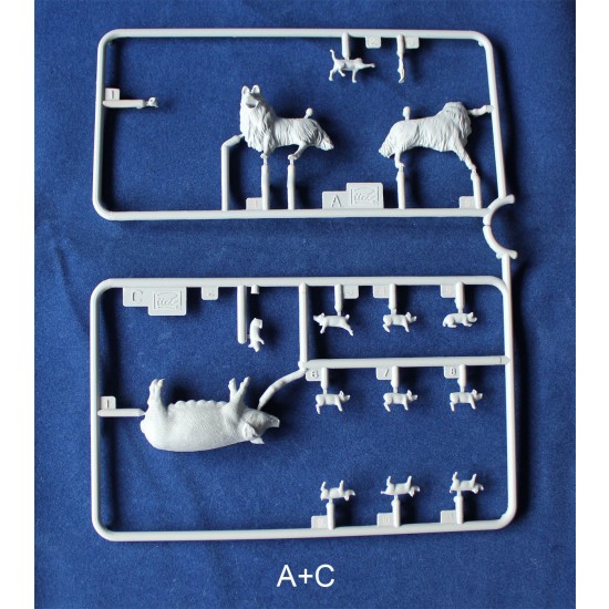 1/35 Livestock Set Vol.1 (Dog+Cat+Sheep+Pig) 1/35 Livestock Set Vol.1 (Dog+Cat+Sheep+Pig)
