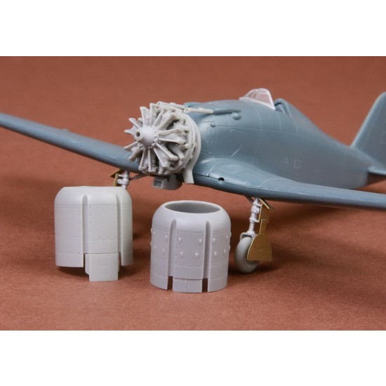 1/72 Fiat G.50/bis Engine & Cowling set for Fly kit 1/72 Fiat G.50/bis Engine & Cowling set for Fly kit