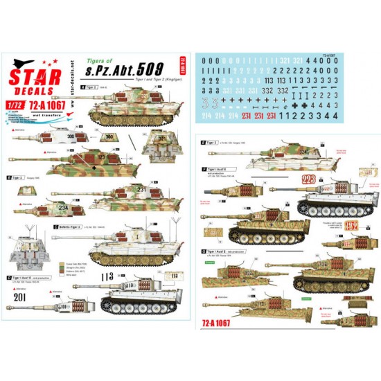 Decals for 1/72 Tigers of sPzAbt 508. Tiger I and Tiger 2 on the Eastern Front