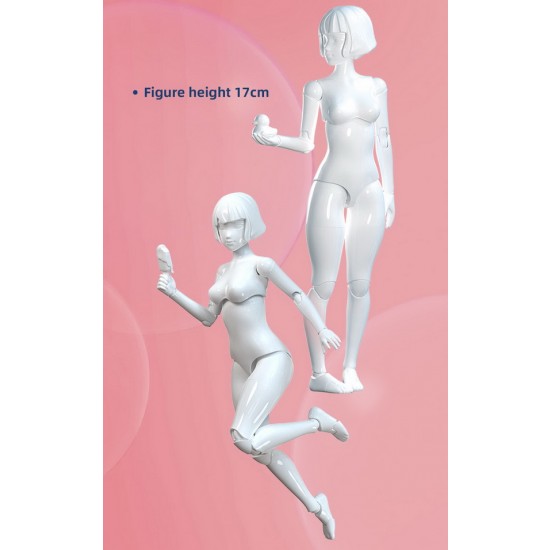 Ci Doll - Asian Female Action Figure w/Cabinet & Accessories (height: 170mm) Ci Doll - Asian Female Action Figure w/Cabinet & Accessories (height: 170mm)