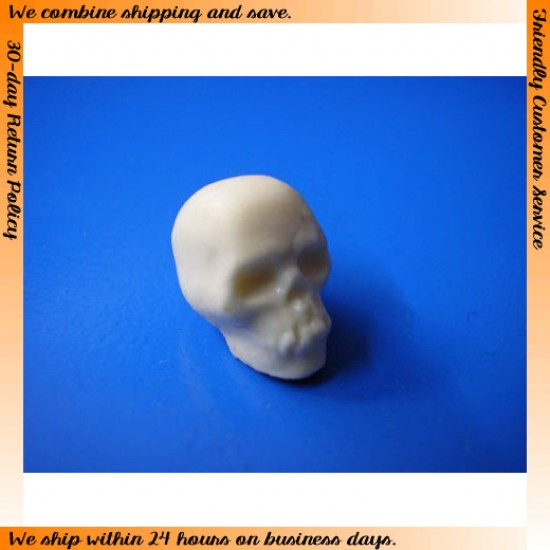 1/24, 1/25 Diorama - Human Skull 1/24, 1/25 Diorama - Human Skull