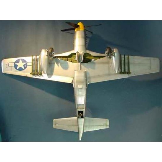 1/24 North American P-51D Mustang 1/24 North American P-51D Mustang
