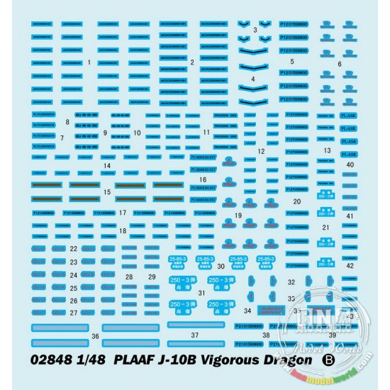 1/48 PLAAF J-10B Vigorous Dragon 1/48 PLAAF J-10B Vigorous Dragon