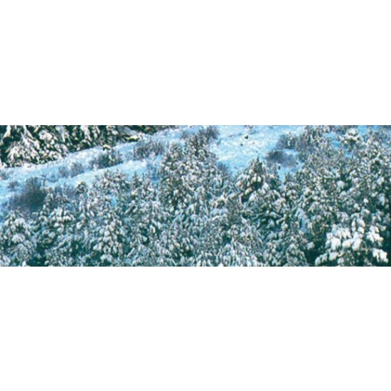 Snow & Foam 32ml #231 Snow & Foam 32ml #231