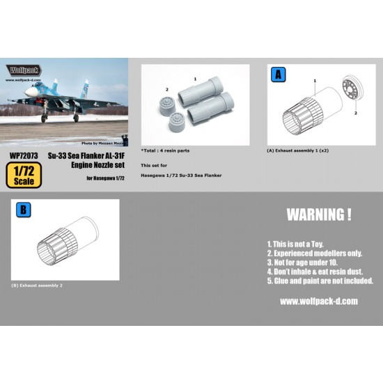 1/72 Sukhoi Su-33 Sea Flanker AL-31F Engine Nozzle Set for Hasegawa kit 1/72 Sukhoi Su-33 Sea Flanker AL-31F Engine Nozzle Set for Hasegawa kit