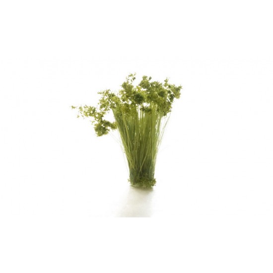 The Field System - Medium Green Prairie Grass (20pcs) The Field System - Medium Green Prairie Grass (20pcs)