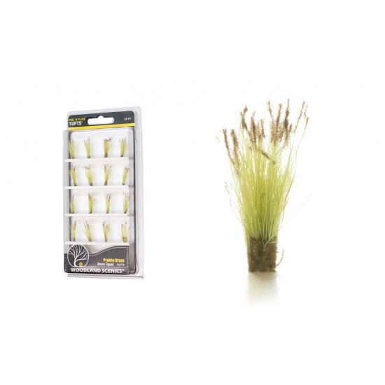 The Field System - Brown Tipped Prairie Grass (20pcs) The Field System - Brown Tipped Prairie Grass (20pcs)