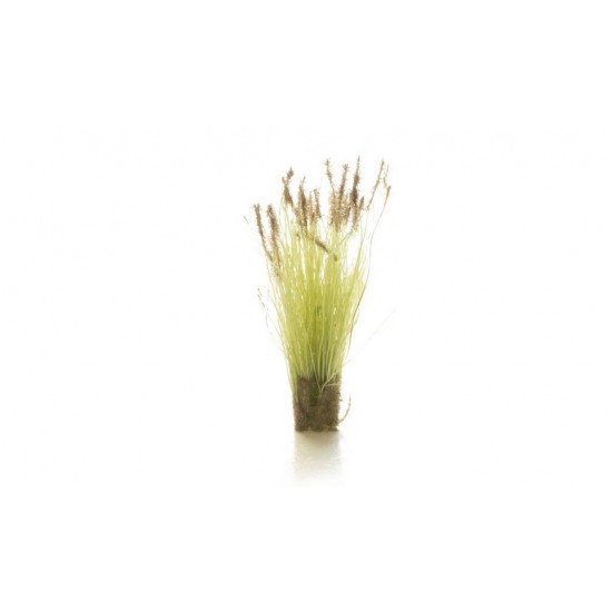 The Field System - Brown Tipped Prairie Grass (20pcs) The Field System - Brown Tipped Prairie Grass (20pcs)