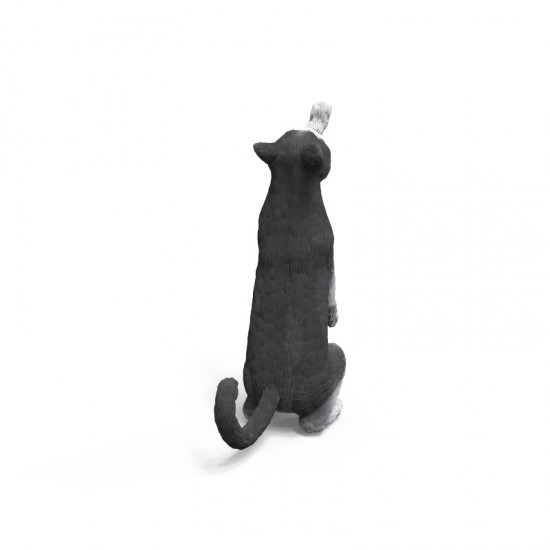 1/24 Cats Set (6 resin cats) 1/24 Cats Set (6 resin cats)