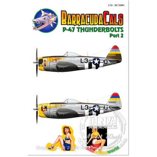 1/32 P-47 Thunderbolt Part 2 Decals
