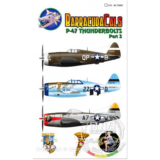 1/32 P-47 Thunderbolt Part 3 Decals