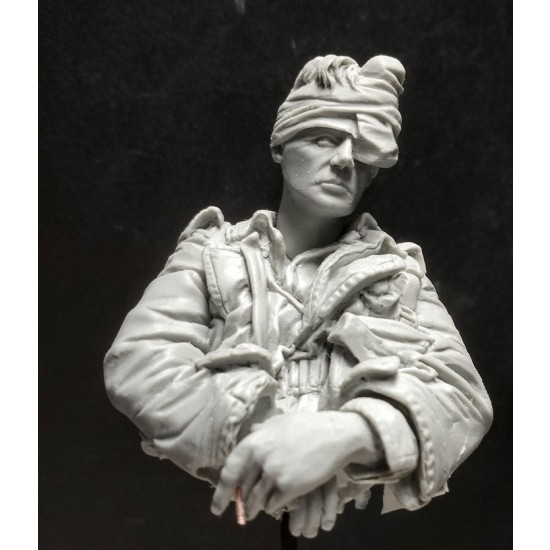 1/10 Bust - Aussie Digger in Korea