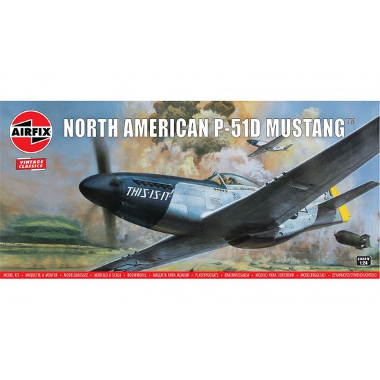 1/24 North American P-51D Mustang