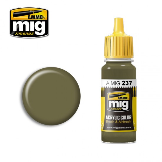 Acrylic Paint - FS 23070 Dark Olive Drab (17ml)