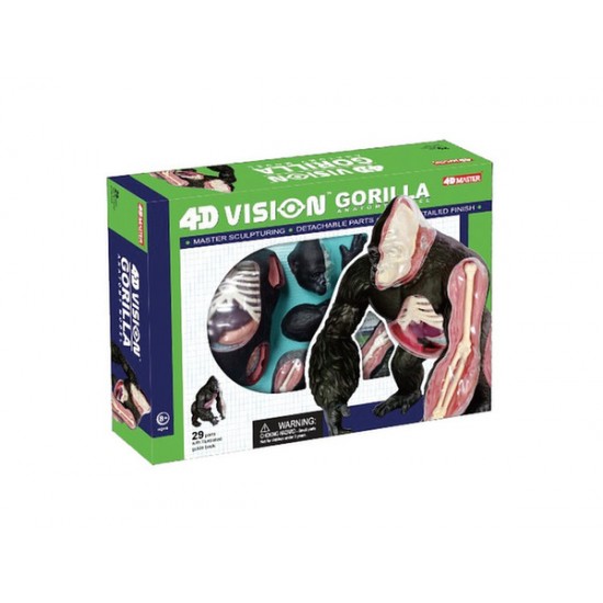 4D Vision Series Puzzle - Gorilla Anatomy Model (#AOS08571) - BNA Model ...
