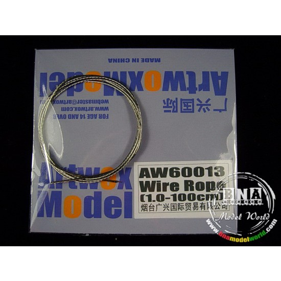 Stainless Steel Wire Rope (Diameter: 1.0mm, Length: 100cm)