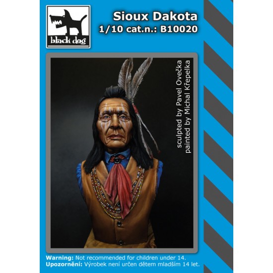 1/10 Sioux Dakota Bust