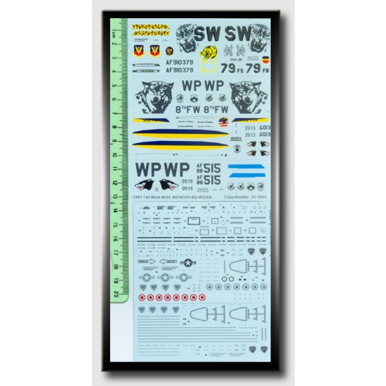 Decals for 1/48 Lockheed F-16C Fighting Falcon Block 40-50 Big Mouths