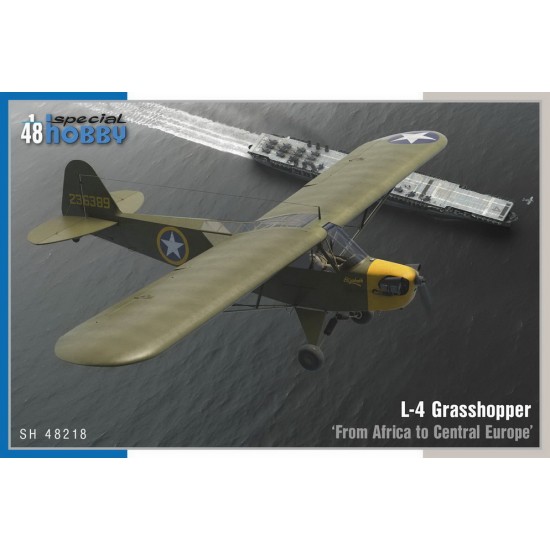 1/48 WWII Piper L-4 Grasshopper In the Fight from Africa to Central Europe