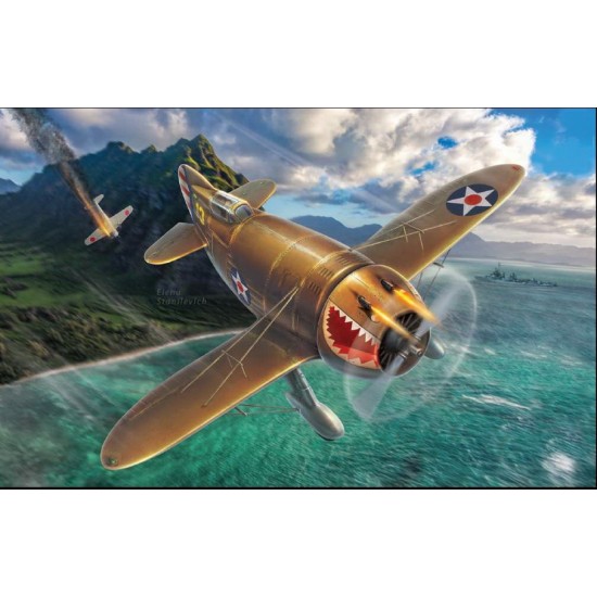 1/48 What If - Granville P-45B "Bee Killer"