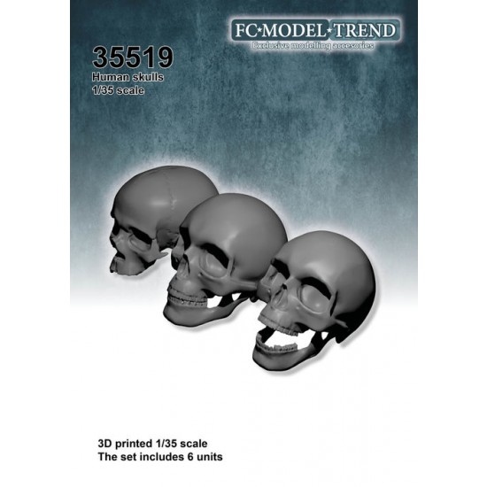 1/35 Human Skulls (6pcs)