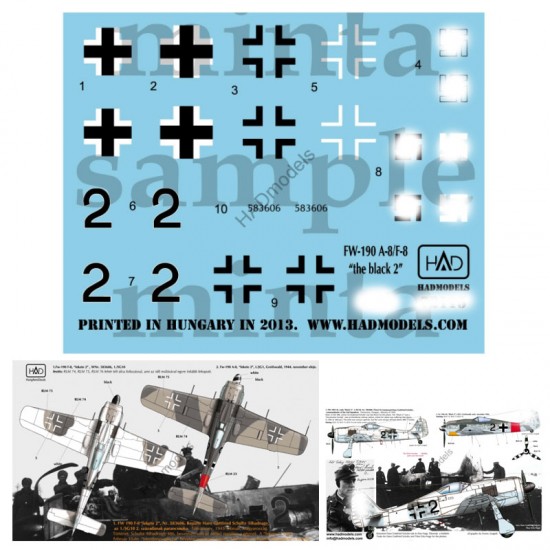 Decals for 1/32 FW-190 A-8/F-8 "the Black 2"