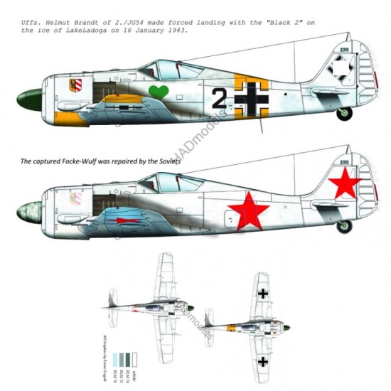 Decals for 1/48 FW-190 A-4 (Black 2 JG54, Soviet captured painting)