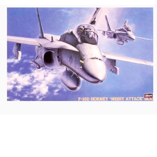 1/48 McDonnell Douglas F-18D Hornet Night Attack
