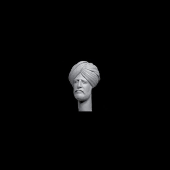1/35 Head with Sikh Turban Vol. 1
