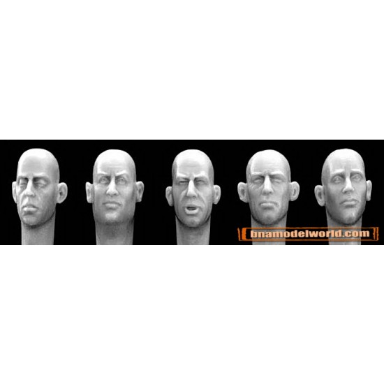 1/35 5x Different Bare Heads with Neutral Expressions
