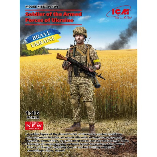1/16 Soldier of the Armed Forces of Ukraine