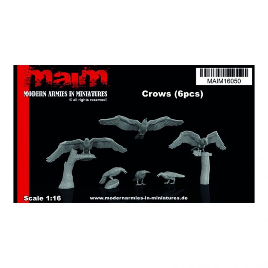 1/16 Crows