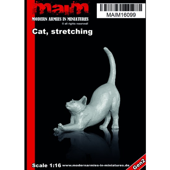 1/16 Cat Stretching