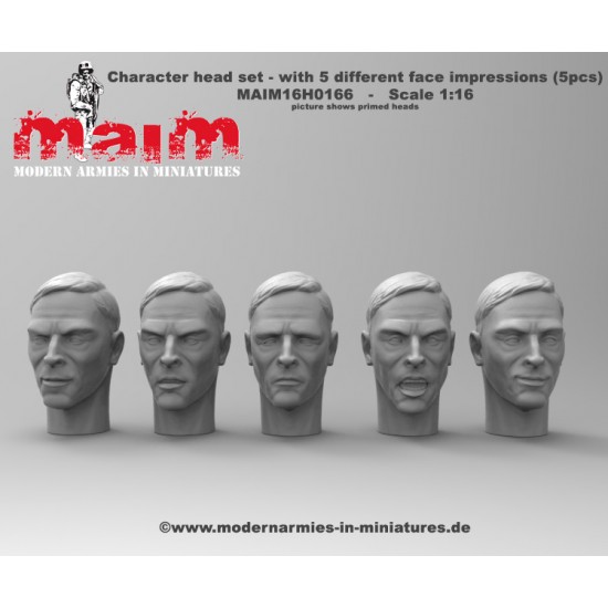 1/16 Character Head Set - with 5 Different Face Emotions (5 Heads) 