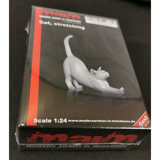 1/24 Cat Stretching