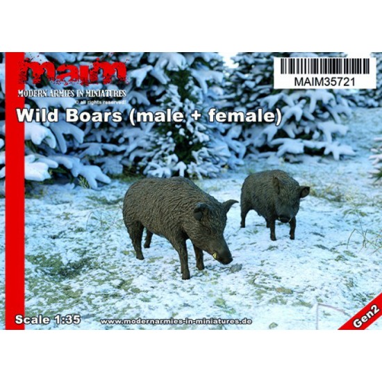 1/35 Wild Boars (Male + Female)